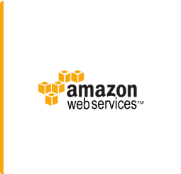 Medium or Large Technology Company AWS