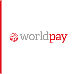 Medium or Large Technology Company Worldpay