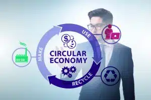 Concept of circular economy